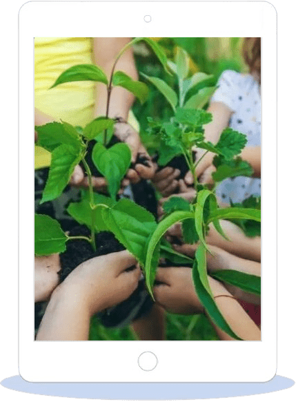 exploring-sustainability-pathways-for-students-blog-post-thumbnail